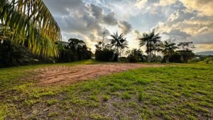 8125 Large Ocean View Lot Perezoso Ojochal 40