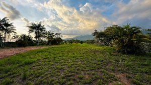 8125 Large Ocean View Lot Perezoso Ojochal 41