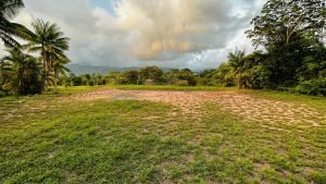 8125 Large Ocean View Lot Perezoso Ojochal 42