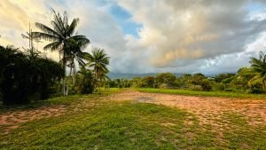 8125 Large Ocean View Lot Perezoso Ojochal 44