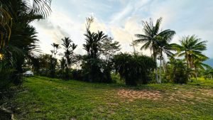 8125 Large Ocean View Lot Perezoso Ojochal 45