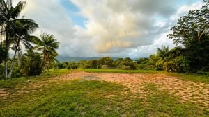 8125 Large Ocean View Lot Perezoso Ojochal 46