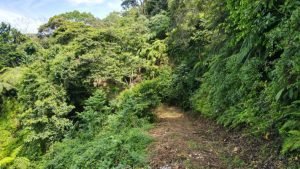 8133 Lot #71, Escaleras-19