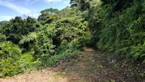 8133 Lot #71, Escaleras-20