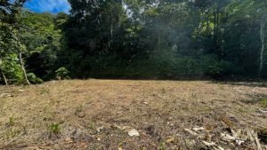 8133 Lot #71, Escaleras-34