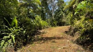 8133 Lot #71, Escaleras-39