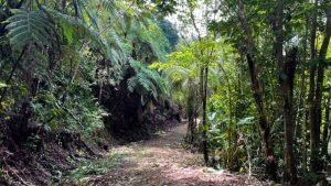 8133 Lot #71, Escaleras-40