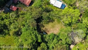 DJI_20240224092831_0572_D