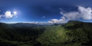 DJI_20240228084002_0137_D