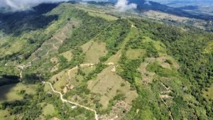 Foto 12-1-23 09 50 20