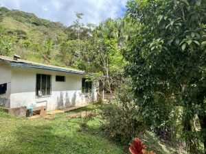 Foto 12-1-23 11 21 08