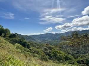 Foto 13-1-23 09 12 47