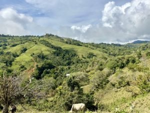 Foto 13-1-23 09 46 44