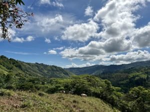 Foto 13-1-23 09 47 03