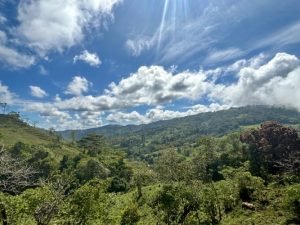 Foto 13-1-23 10 17 49