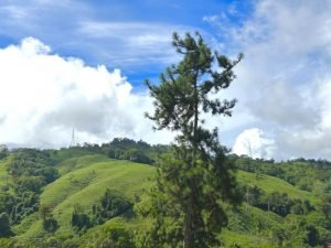 Foto 13-1-23 10 26 15