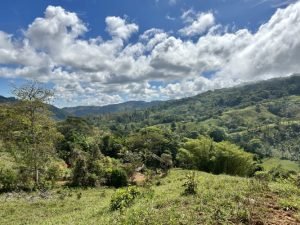 Foto 13-1-23 10 26 23