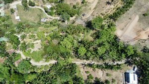 Foto 6-3-23 10 12 20