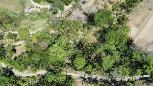 Foto 6-3-23 10 17 14