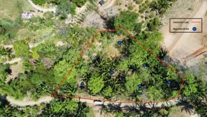 Foto 6-3-23 10 17 44