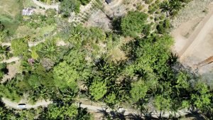 Foto 6-3-23 10 18 12