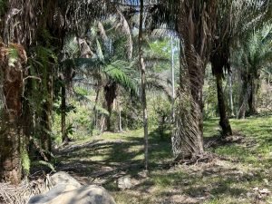 Foto 6-3-23 10 29 49