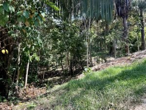 Foto 6-3-23 10 31 53