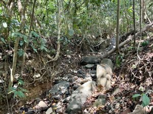 Foto 6-3-23 10 33 55