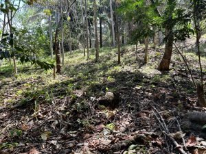 Foto 6-3-23 10 34 18