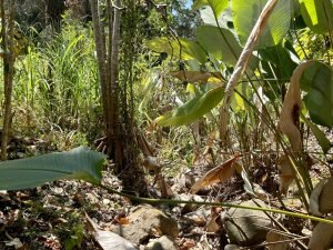 Foto 6-3-23 10 42 01