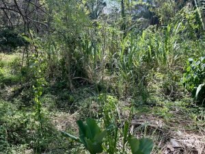 Foto 6-3-23 10 44 32