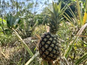 Foto 6-3-23 10 46 19