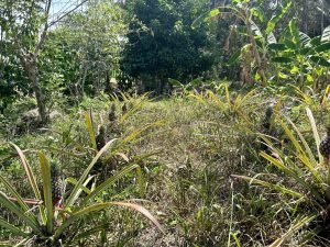 Foto 6-3-23 10 46 52