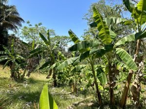 Foto 6-3-23 10 48 18