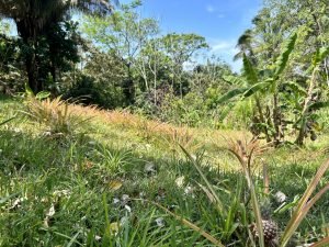 Foto 6-3-23 10 49 52