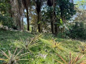 Foto 6-3-23 10 50 58