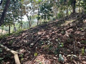 Foto 6-3-23 11 08 43