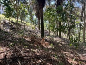 Foto 6-3-23 11 08 48