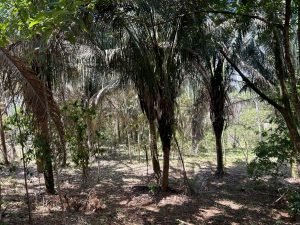 Foto 6-3-23 11 10 25