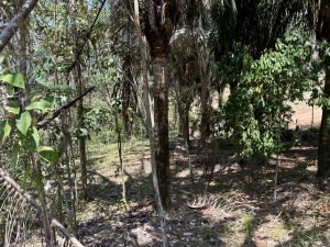 Foto 6-3-23 11 12 21