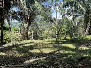 Foto 6-3-23 11 14 30