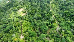 Image 2022-06-30 at 5.38.33 PM