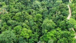 Image 2022-06-30 at 5.38.37 PM (1)