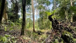 Image 2022-07-01 at 2.29.02 PM