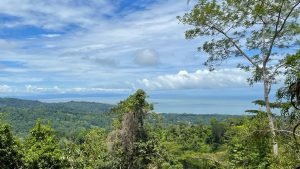 Image 2022-07-01 at 2.29.03 PM (2)