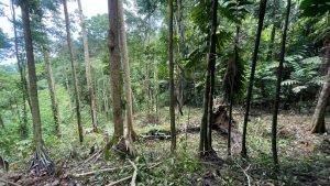 Image 2022-07-01 at 2.29.03 PM