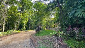 Nature’s Sanctuary_ A Pristine 181-Acre Paradise-1