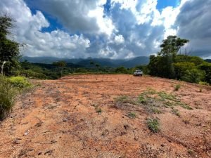 Nature’s Sanctuary_ A Pristine 181-Acre Paradise-10