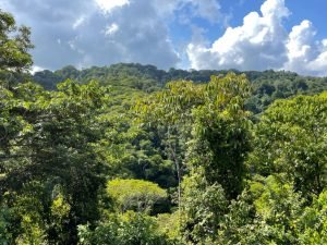 Nature’s Sanctuary_ A Pristine 181-Acre Paradise-11