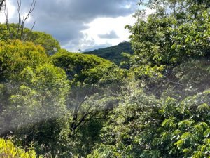 Nature’s Sanctuary_ A Pristine 181-Acre Paradise-12